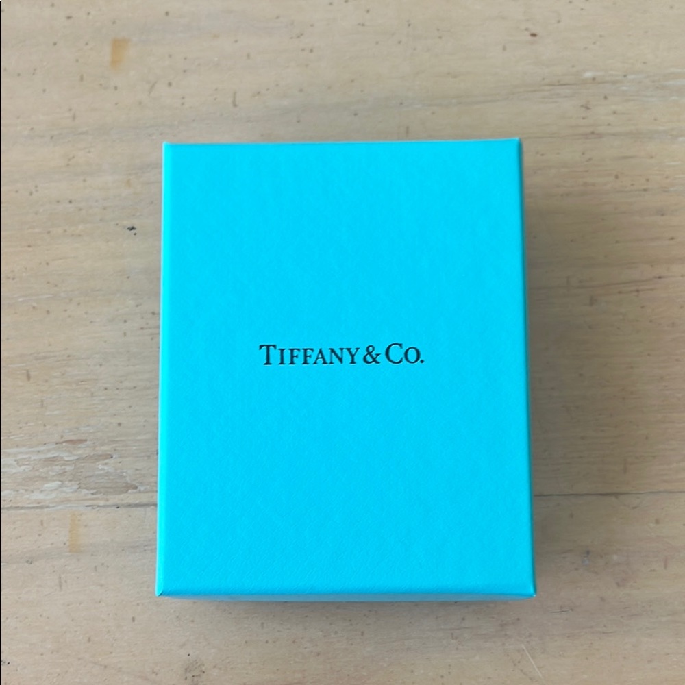 Tiffany & Co. Turquoise Gift Box